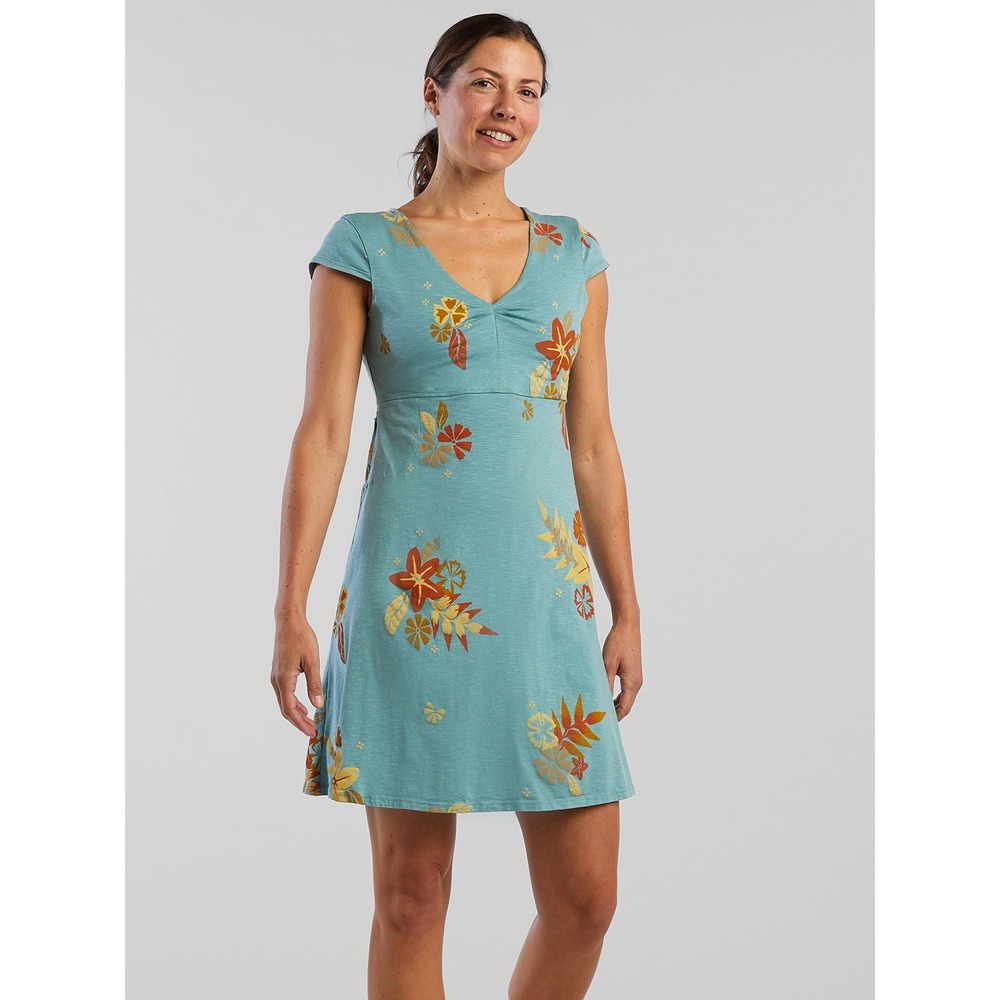 Toad&Co Rosemarie Dress in Blue Floral Size Small Outdoor Granola Girl Casual